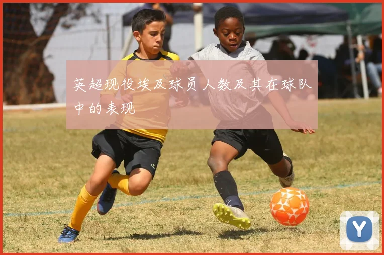 英超现役埃及球员人数及其在球队中的表现