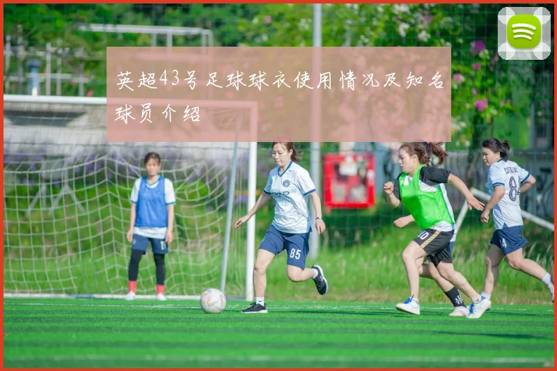 英超43号足球球衣使用情况及知名球员介绍