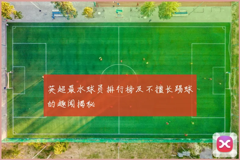英超最水球员排行榜及不擅长踢球的趣闻揭秘