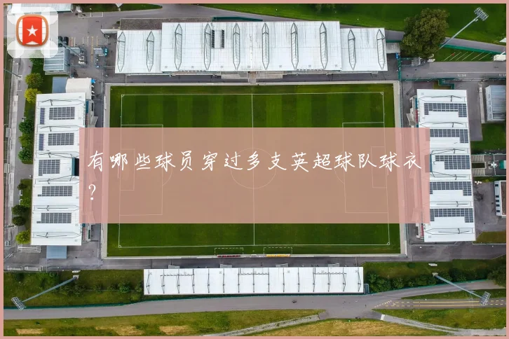 有哪些球员穿过多支英超球队球衣？