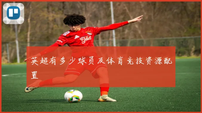 英超有多少球员及体育竞技资源配置