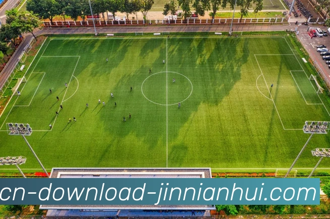 韩国足球名将李某在英超的职业生涯回顾